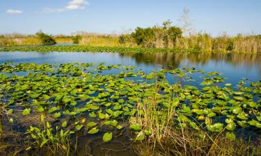 Hotel con piscina a Everglades City