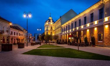 Hoteles en Sfântu-Gheorghe