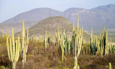 Hotels with Parking in Tehuacán