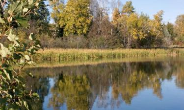 Hôtels acceptant les animaux domestiques à Timmins