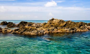 Hoteluri în Vieques