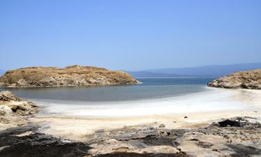 Billige ferier i Djibouti