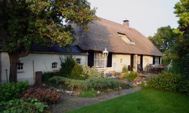 Cottages in Vierhouten