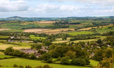 Hôtels à Axminster