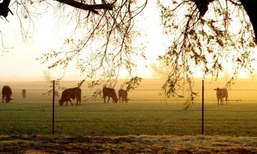 Cheap holidays in Enid