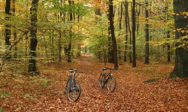 Hotels met Parkeren in Zawiercie Nowe