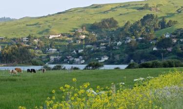 Holiday Homes in Jenner