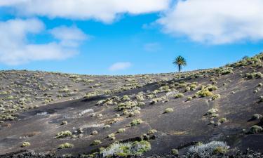 Alquileres vacacionales en Conil