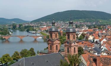 Hotels with Parking in Miltenberg