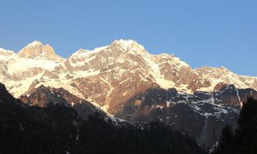 Hotels in Lachung