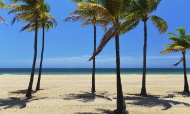 Haustierfreundliche Hotels in Palm Beach Shores