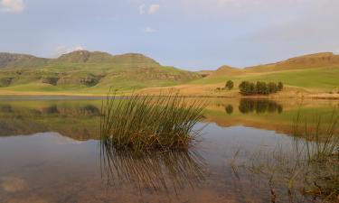 Hoteles en Underberg