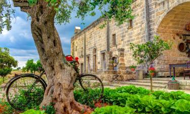 Hoteles con estacionamiento en Corsano