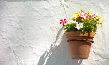 Cottages in Dos Torres