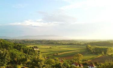 Vikendice u gradu Loznica