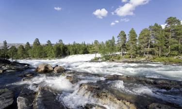 Lemmikkiystävälliset hotellit Karasjokissa