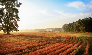 Bezbariérová ubytování v destinaci Hopkinsville