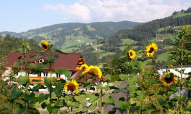 Apartments in Faistenau