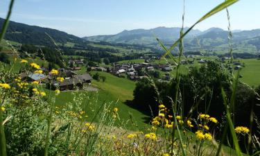 Hoteles en Schwarzenberg im Bregenzerwald