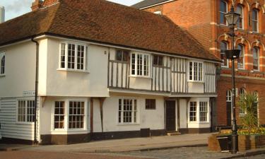 Hoteles que admiten mascotas en Faversham