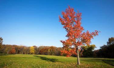 Hotels in Lansing