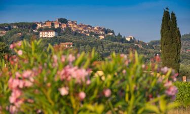 Hotel pet friendly a Donoratico