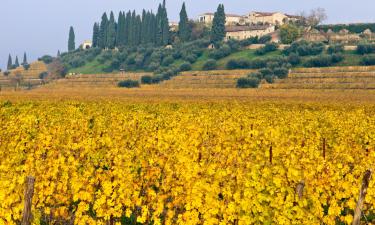 Poceni hoteli v mestu Caselle di Sommacampagna