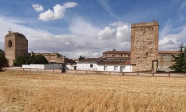 Hotel pet friendly a Madrigal de las Altas Torres