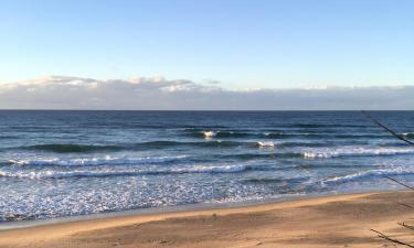 Alquileres vacacionales en la playa en Trafalgar