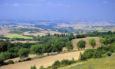 Avignonet-de-Lauragais şehrindeki oteller