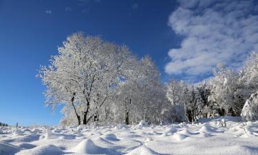 Beierfeldのアパートメント