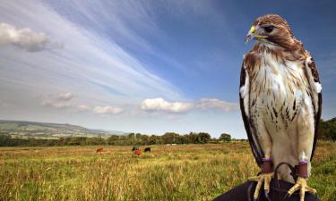 Holiday Rentals in Longframlington