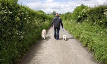 Holiday Homes in Washford