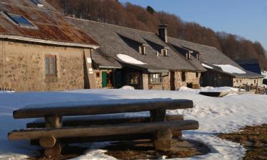 Hotels in Mittlach