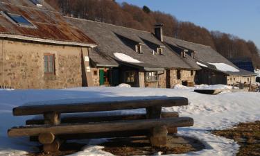 Ski Resorts in Mittlach