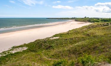 Hoteli s parkiralištem u gradu 'Brittas Bay'