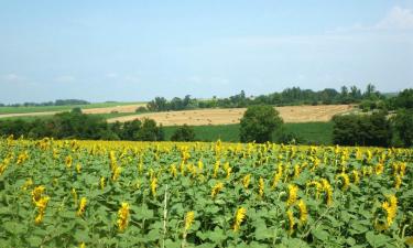 Holiday Rentals in Fourcès