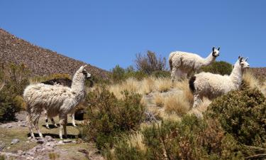 Hoteller i Cochabamba