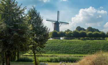 Ferieboliger ved stranden i Zaamslag