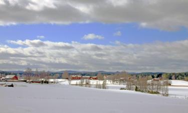 Vakantiewoningen aan het strand in Klövsjö