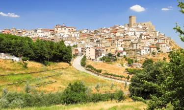 Holiday Rentals in Deliceto