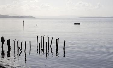 Husdjursvänliga hotell i Bademli