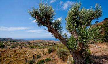 Παραθεριστικές κατοικίες σε Curinga