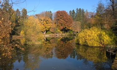 Parkolóval rendelkező hotelek Zircen