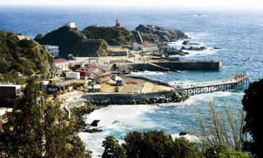 Cottages in Quintay