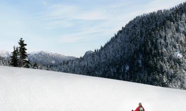 Medencével rendelkező hotelek Panoramában