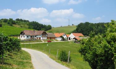 Hoteles en Jiršovci