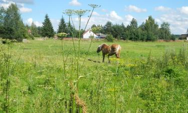 Отели с парковкой в городе Białowieża