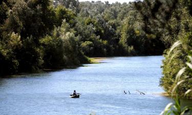 Hoteles en Montfrin