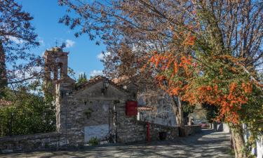 Hoteles en Ambelákia